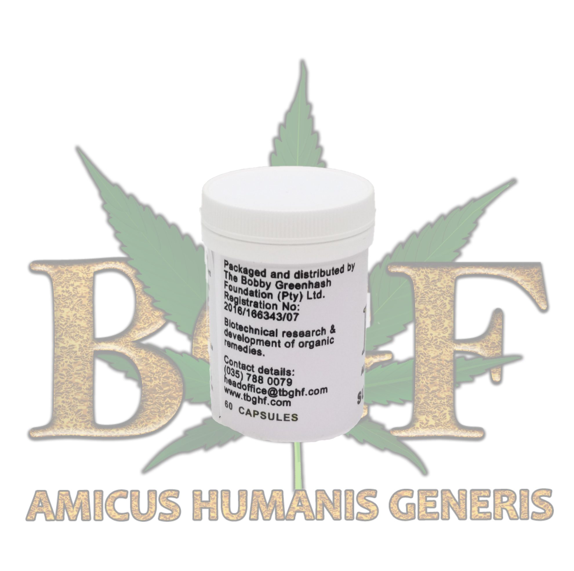 Sutherlandia - Image 3