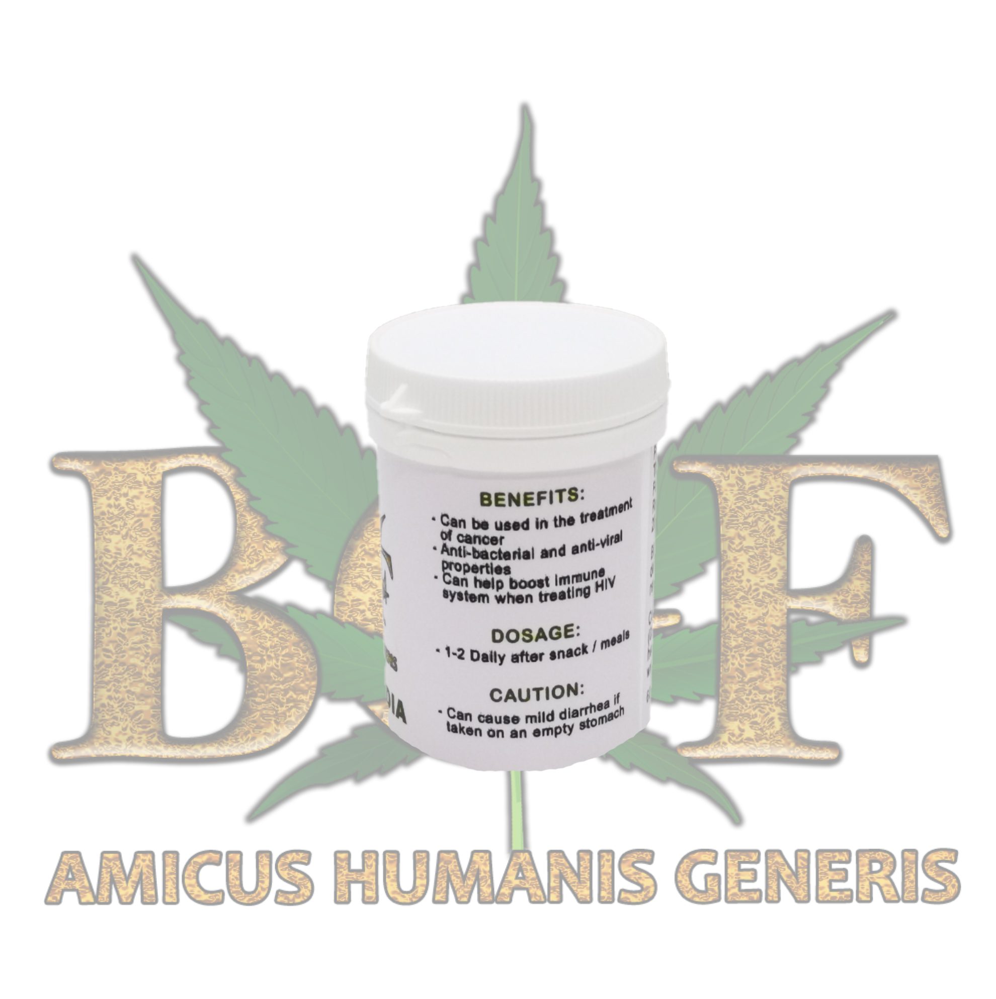 Sutherlandia - Image 4